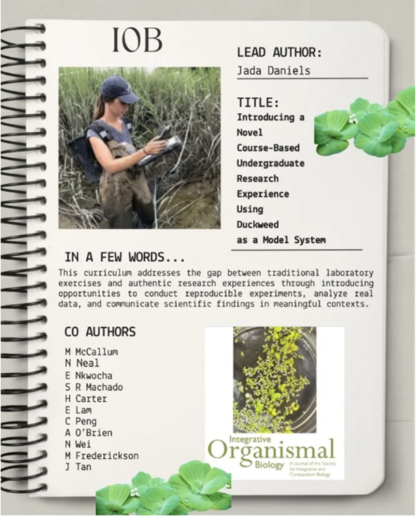 Introducing a Novel Course-Based Undergraduate Research Experience Using Duckweed as a Model System